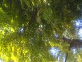 WP_20160913_11_48_23_Pro.jpg
